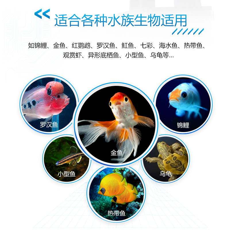WIFI喂鱼器_02.jpg
